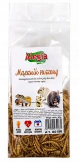 ALEGIA SUSZONE LARWY MĄCZNIKA MĄCZNIK SUSZONY 60G 0196