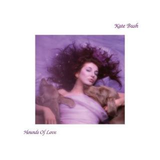 BUSH KATE,HOUNDS OF LOVE  (LP)