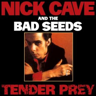 CAVE NICK  THE BAD SEEDS,TENDER PRAY (LP) 1988