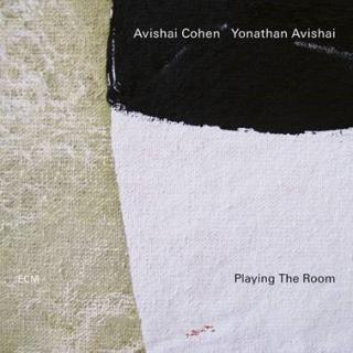 COHEN AVISHAI Playing The Room