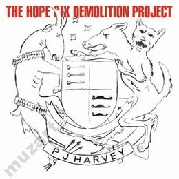 HARVEY PJ The Hope Six Demolition Project