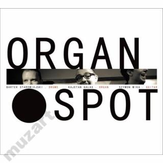 ORGAN SPOT Organ Spot