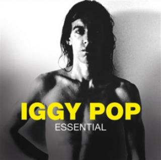 POP IGGY,ESSENTIAL  2011