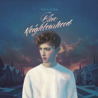 SIVAN TROYE,BLUE NEIGHBOURHOOD    2015