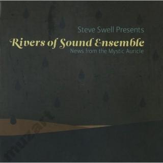 SWELL STEVE RIVERS OF SOUND ENSAMBLE News from the Mystic Auricle