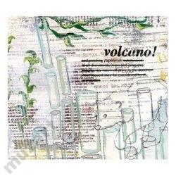 VOLCANO Paperwork