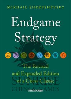 Endgame Strategy - M. Shereshevsky