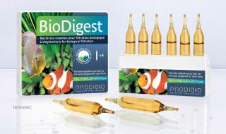 BioDigest  1 ampułka
