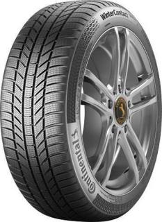 195/55R20 95H CONTINENTAL TS-870 P-2022r