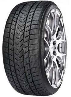 245/50R18 100V GRIPMAX PRO WINTER-2024r