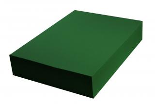 Papier kolorowy A4 120g zielony ciemny 100 arkuszy