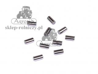 Igiełka łożyskowa Carraro (10szt) - 028370