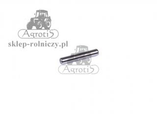 Igiełka łożyskowa Carraro (10szt)