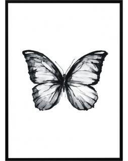 Plakat w ramie Butterfly I 50x70