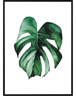 Plakat w ramie Monstera 50x70