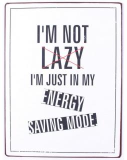 Szyld metalowy LAZY