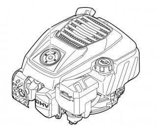Spalinowy silnik benzynowy EVC 205.0 (EVC 205-000)