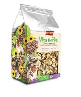 Vita Herbal chipsy topinambur 100g