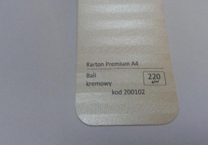Karton Premium A4 Bali Kremowy 20 ark./op. 220 g/m2