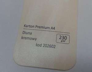 Karton Premium A4 Diuna Kremowy Biel 20 ark./op. 230 g/m2