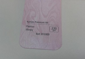 Karton Premium A4 Papirus Liliowy 20 ark./op. 220 g/m2