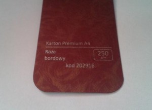 Karton Premium A4 Róże Bordowy 20 ark./op. 250 g/m2