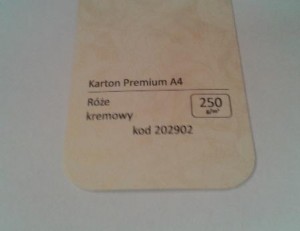 Karton Premium A4 Róże Kremowy 20 ark./op. 250 g/m2