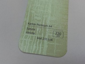 Karton Premium A4 Satna Zielony 20 ark./op. 220 g/m2