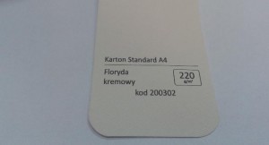 Karton Standard A4 Floryda Kremowy 20 ark./op. 220 g/m2