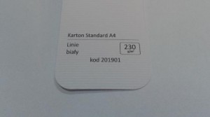 Karton Standard A4 Linie Biały 20 ark./op. 230 g/m2