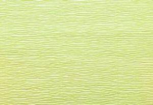 Krepina Bibuła Włoska 180g 50cm x 2,5m Acid Green 558