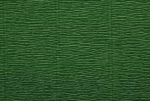 Krepina Bibuła Włoska 180g 50cm x 2,5m Leaf Green 591