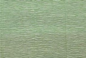 Krepina Bibuła Włoska 180g 50cm x 2,5m Sage Green 562