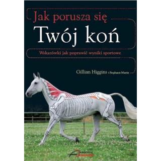 Jak porusza się Twój koń