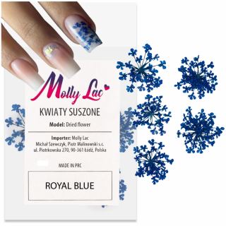 Suszone kwiatki do paznokci Royal Blue Niebieskie do zdobień MollyLac