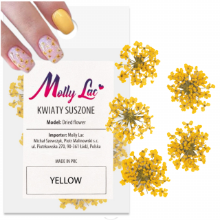 Suszone kwiatki do paznokci Yellow żółte kwiaty do zdobień MollyLac