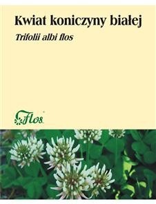 Kwiat Koniczyny białej 50g - Flos