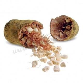 Olej Baobab kosmetyczny 20ml - Sunniva Med