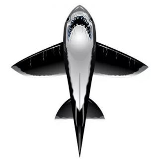 Latawiec X-Kites RareAir Shark >> Szybka wysyłka >> Zwrot do 30 dni >> NIE CZEKAJ!