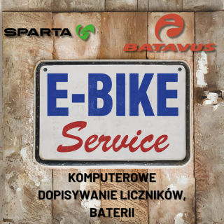 Diagnostyka rowerów elektrycznych SPARTA, BATAVUS ION, dopisywanie części