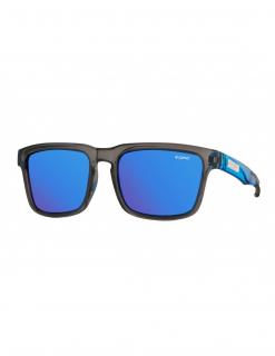 Okulary OPC LIFESTYLE CALIFORNIA REVO Wybierz kolor: Black Blue