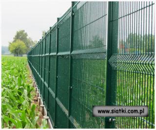 Panel ogrodzeniowy 2W-1000 mm z drutu 4/5 mm ocynkowany /ocynkowany +  zielony RAL 6005