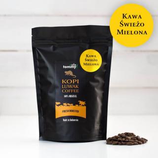 Kawa KOPI LUWAK Sumatra mielona TommyCafe