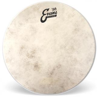 Evans Calftone 13"