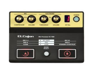 Roland EC10M Procesor z mikrofonem