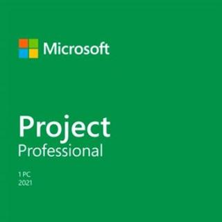 Project Professional 2021