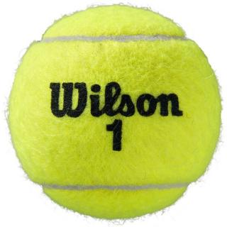 Piłki Wilson Roland Garros All Court (72 piłki)