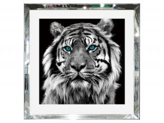 Obraz w lustrzanej ramie czarno biało  tygrys 55x55 cm