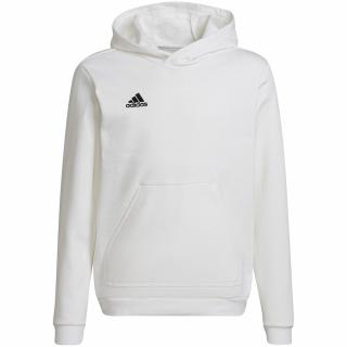 Bluza dla dzieci adidas Entrada 22 Hoody biała HG6303