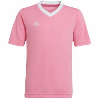 Koszulka dla dzieci adidas Entrada 22 Jersey różowa HC5055